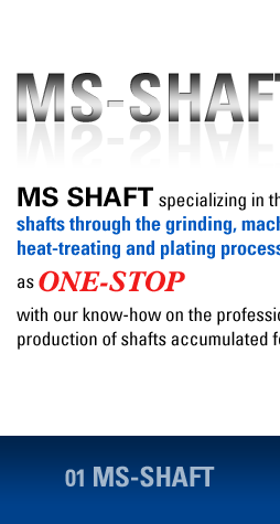 MS-shaft